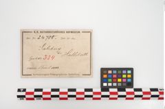 Etikett zu Bronzevierpassfibel (NHMW-PRAE-024700)